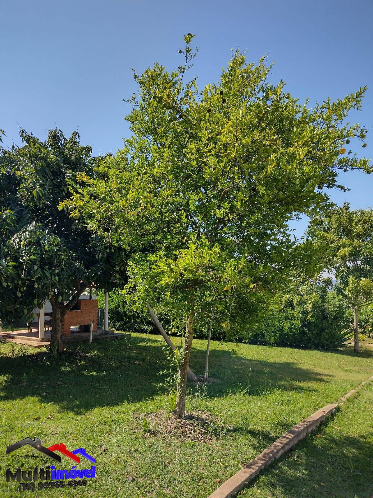 Fazenda à venda com 4 quartos, 600m² - Foto 9