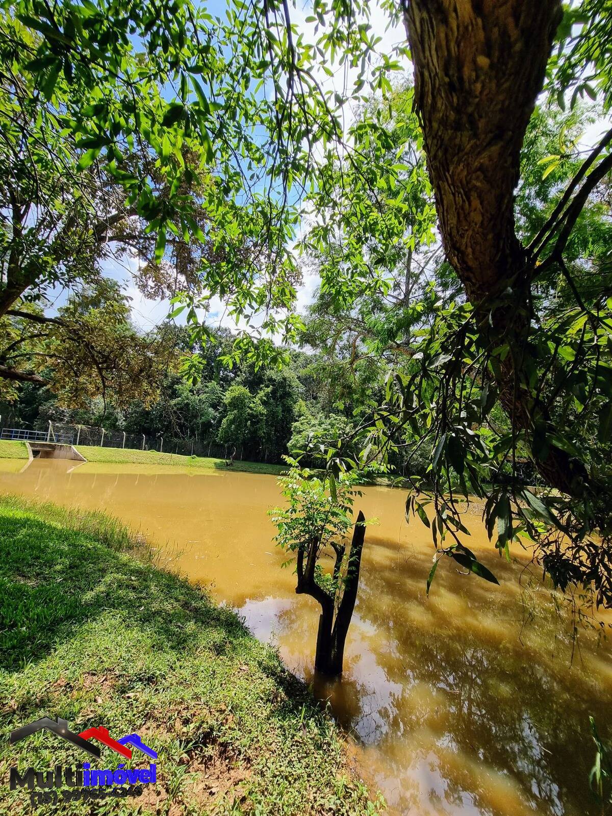 Fazenda à venda com 3 quartos, 475m² - Foto 17