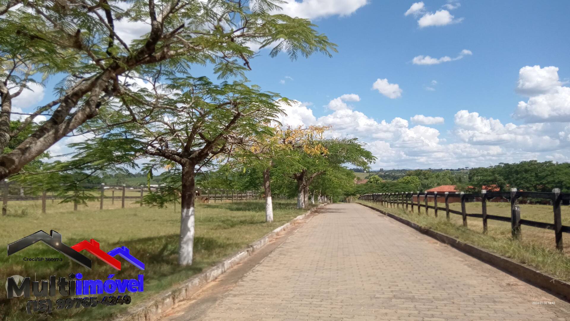 Fazenda à venda com 9 quartos, 363000m² - Foto 4