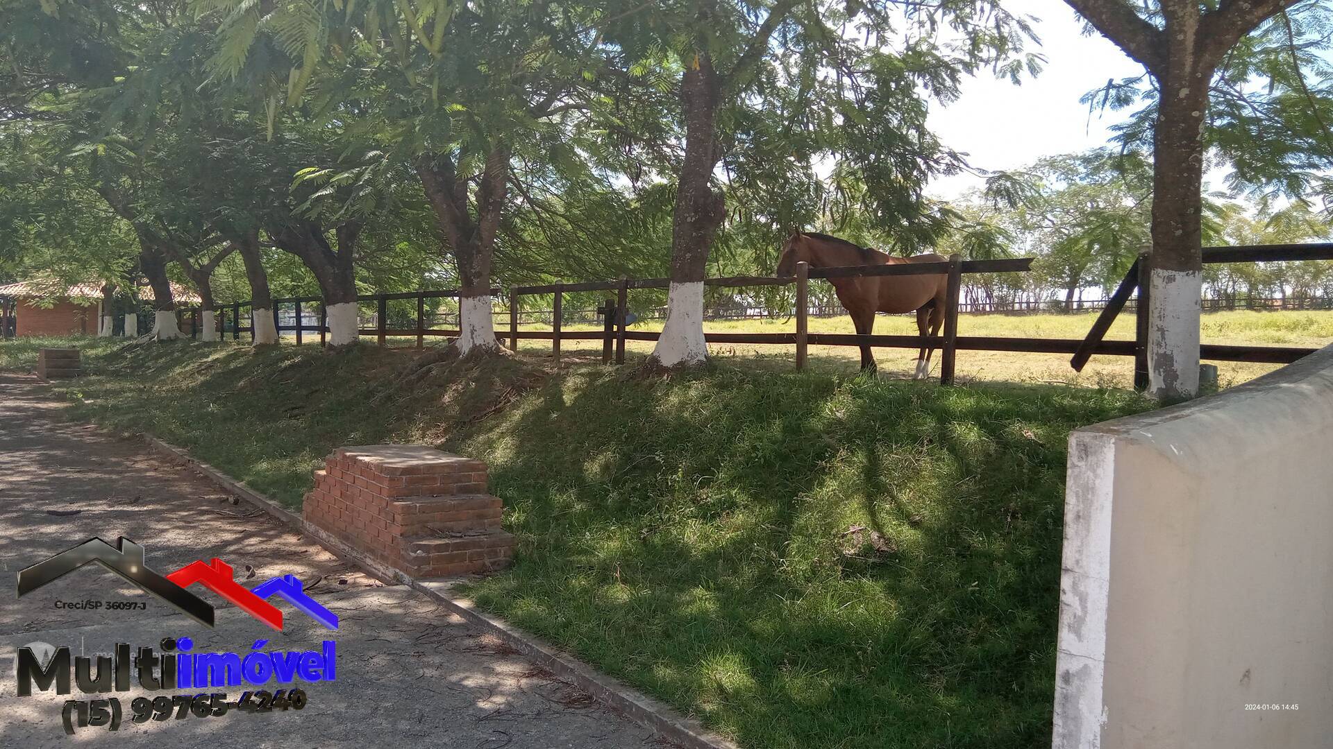 Fazenda à venda com 9 quartos, 363000m² - Foto 8