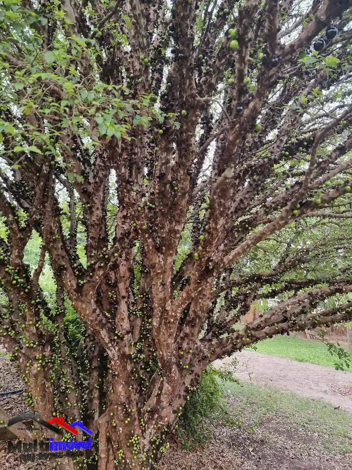 Fazenda à venda com 5 quartos, 3000m² - Foto 27